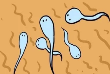 男人好精液的标准，看看你符合吗？(图1)